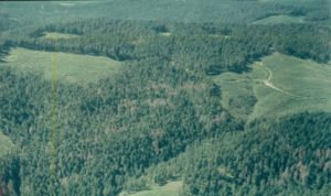The application of remote sensing in forestry