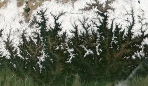 Discuss the Application of remote sensing in forest management